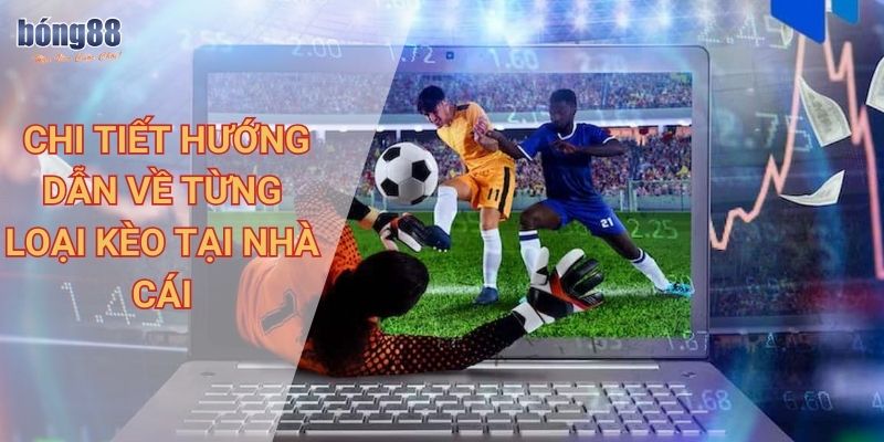 Chi tiết hướng dẫn về từng loại kèo tại nhà cái